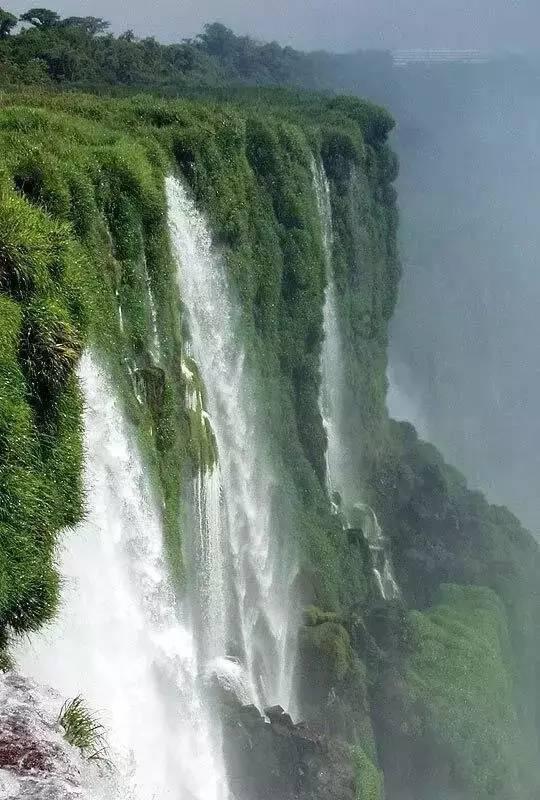 沪江开心词场